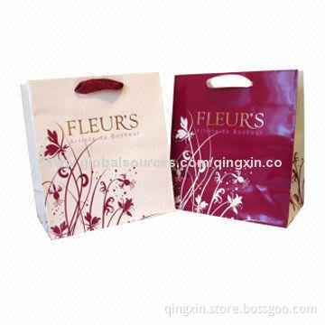 Custom Printed Gift Shopping Packaging Paper Bag
